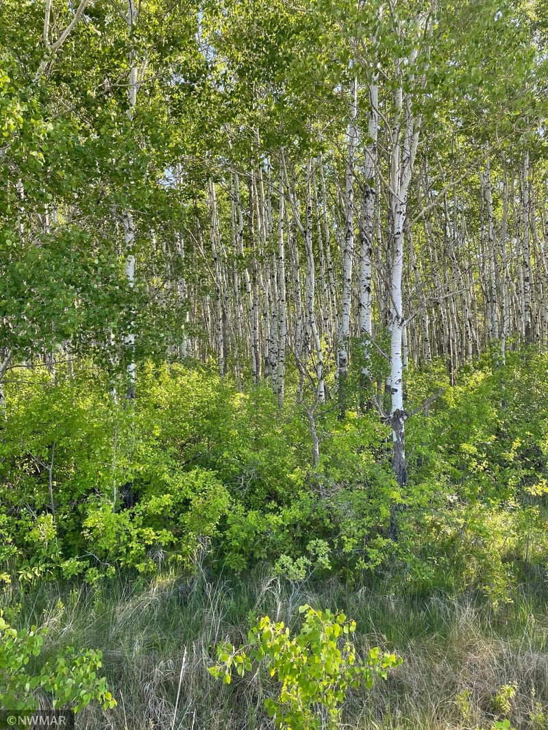 0 180th Ave NW, Strandquist, MN 56758