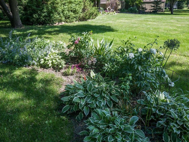 16669 Honeysuckle Ln, Eden Prairie, MN 55346