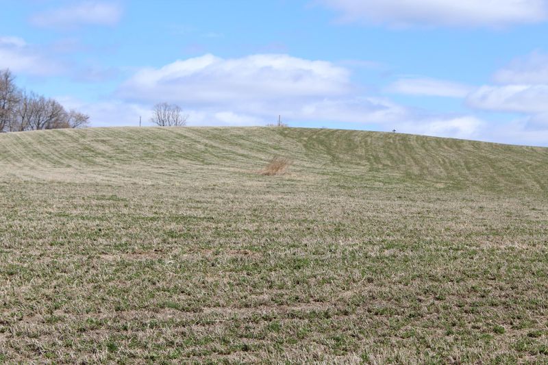 Xxx Dawn Rd, Pelican Rapids, MN 56572