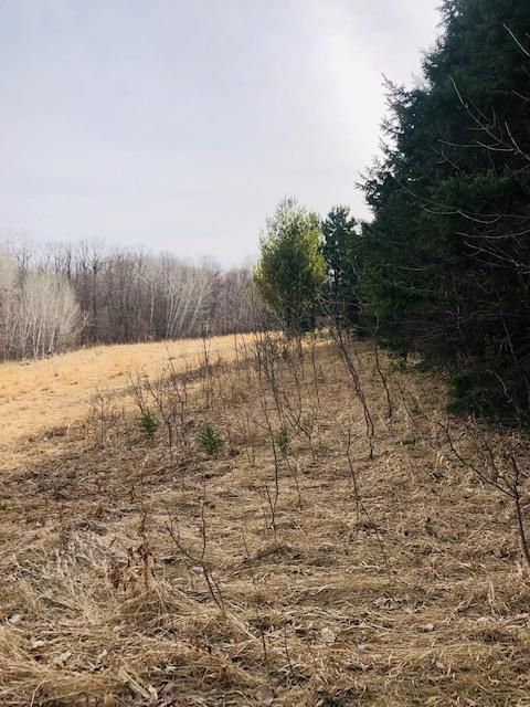 xxx Phelps Mill Rd, Underwood, MN 56586