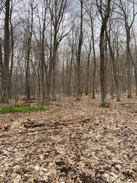 0 Lake Dr, Shell Lake, WI 54871