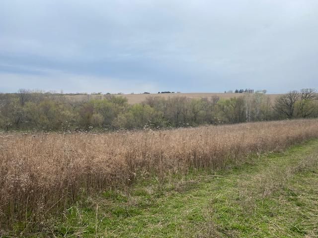 XXX Esch Rd, Caledonia, MN 55921