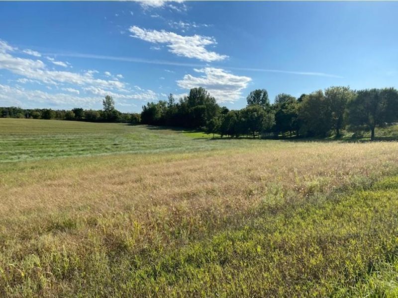 Parcel A Thunder Rd, Clitherall, MN 56524
