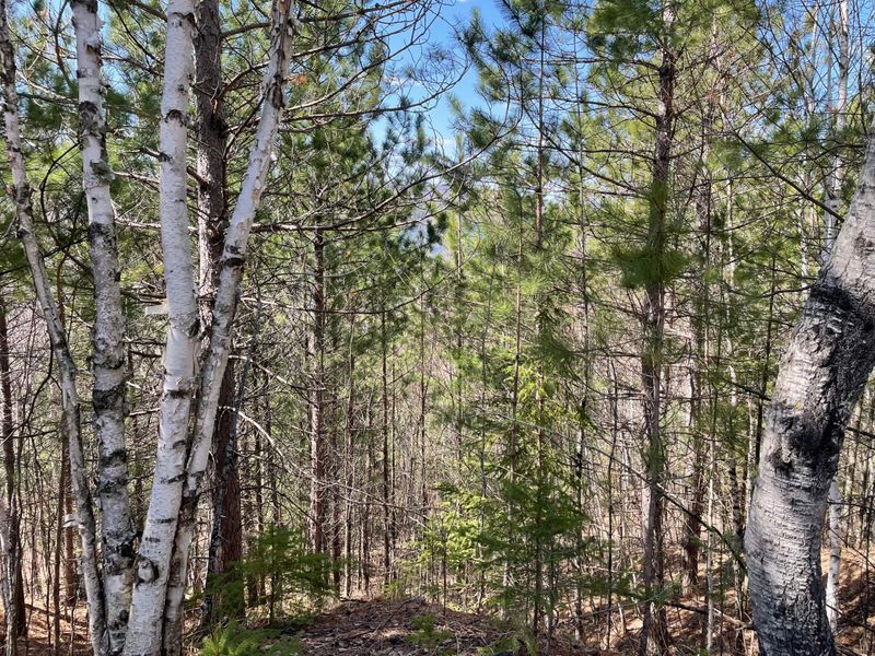 5983 Voyageurs Trl, Biwabik, MN 55708