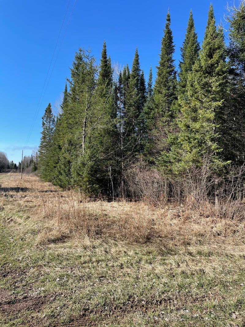 xxx Paulson Rd, Culver, MN 55779