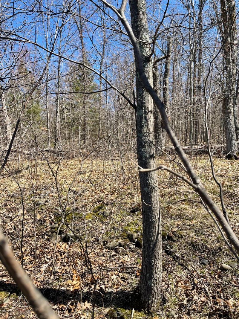 Lot 7 Blk 2 Jermark Rd, Fifty Lakes, MN 56448