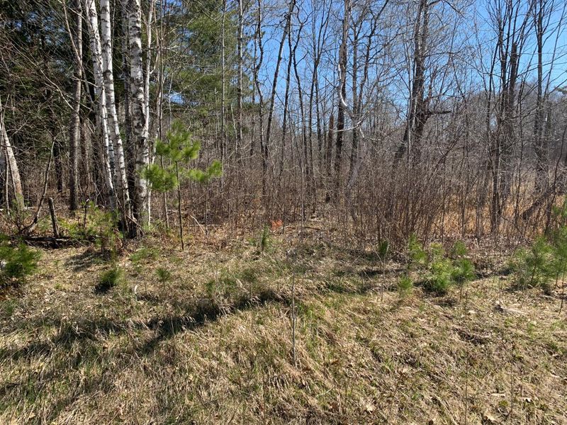 XXX 189th Pl, Mcgregor, MN 55760