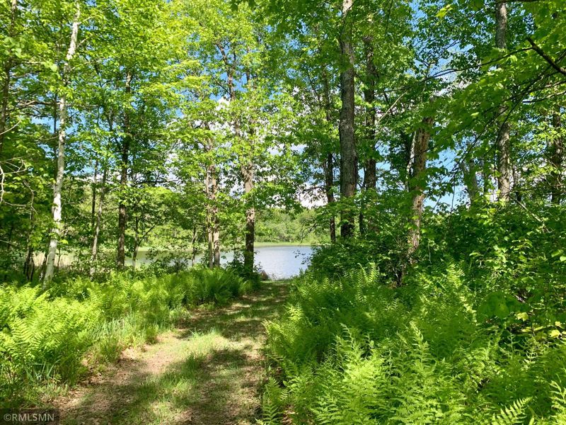 Lot 3 Eagle Claw Ln NE, Longville, MN 56655