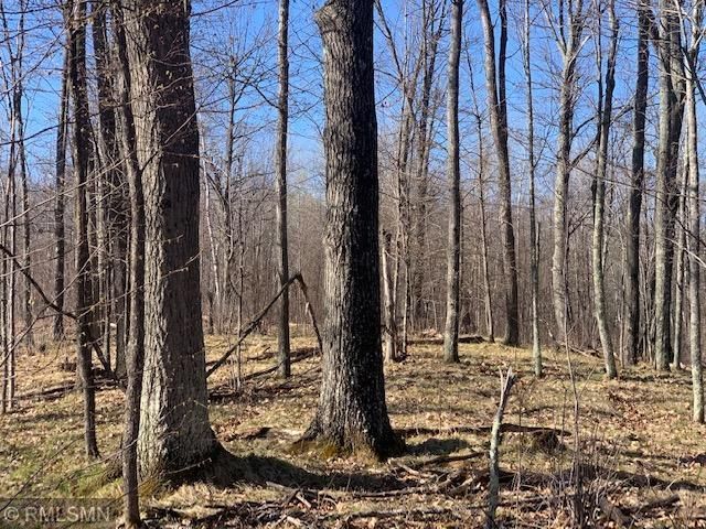 ABC Condor Rd, Sandstone, MN 55072