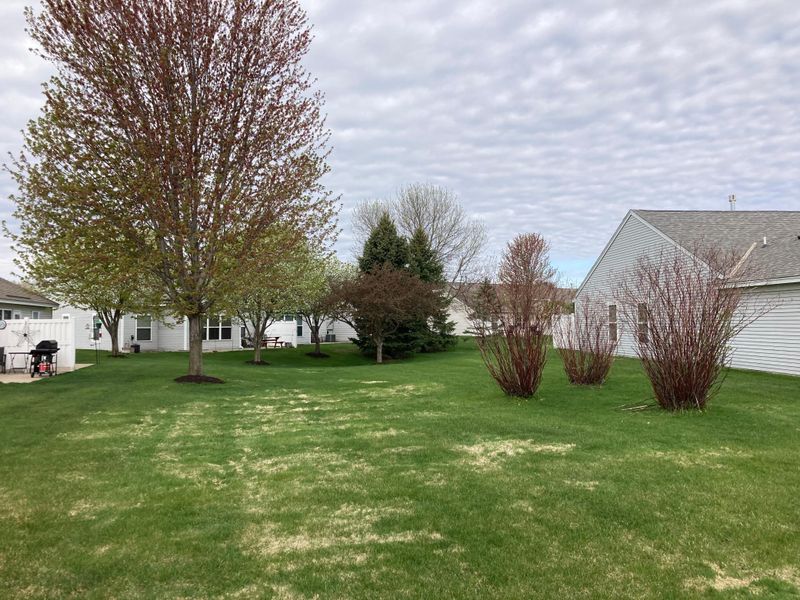 7904 Pinnacle Ave NE, Otsego, MN 55330
