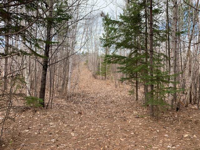 tbd County Road 433, Swan River, MN 55784