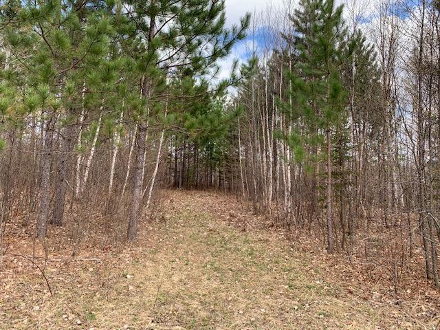 tbd County Road 433, Swan River, MN 55784