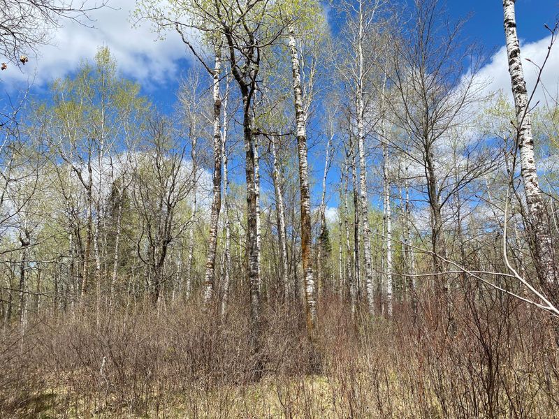 TBD6 Gateway Ln, Akeley, MN 56433