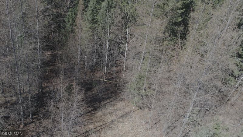 XXX Carpenter Rd, Cook, MN 55723