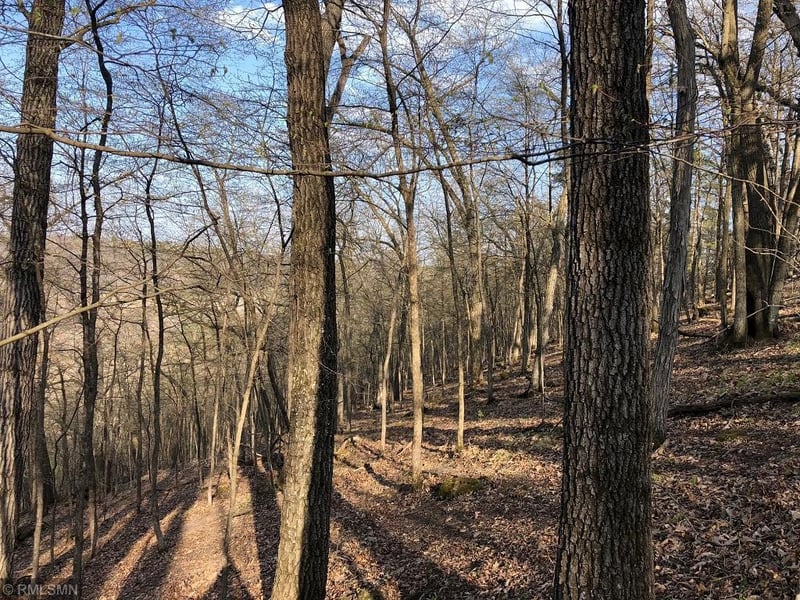 XX17 Deep River Rd, Peterson, MN 55962