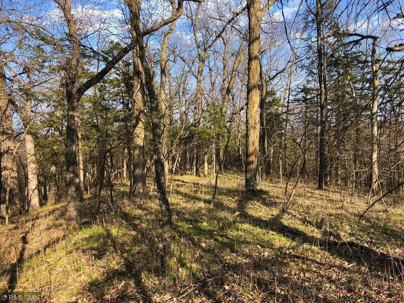 XX17 Deep River Rd, Peterson, MN 55962