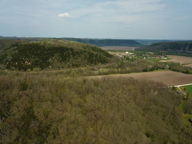 XX17 Deep River Rd, Peterson, MN 55962