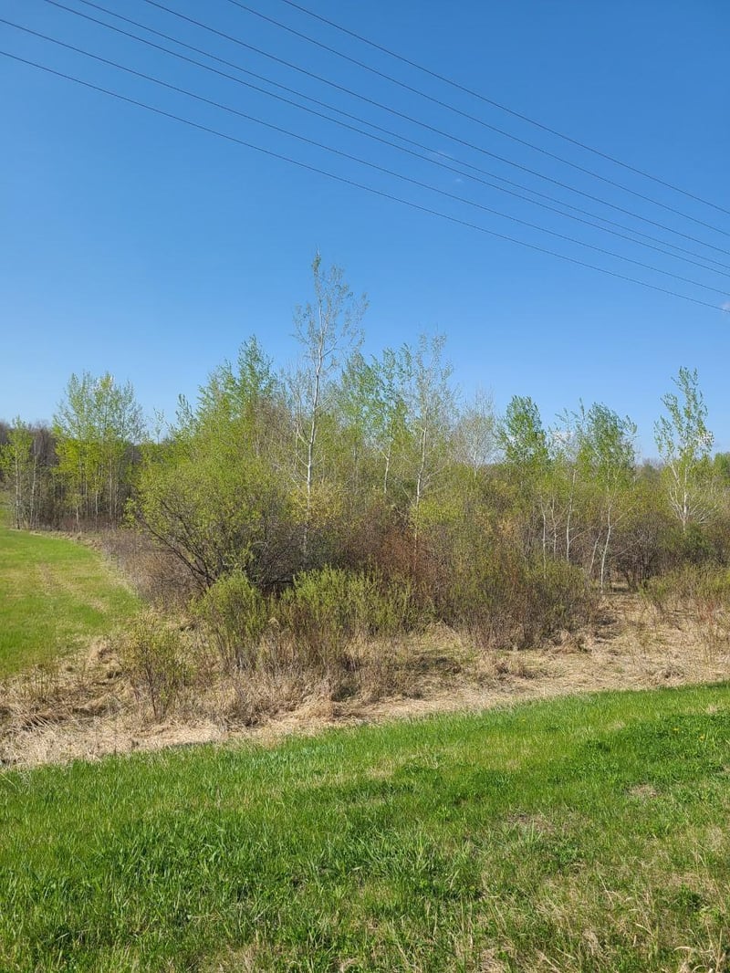 XXX County Road 6 & Hwy 23, Rockville, MN 56301
