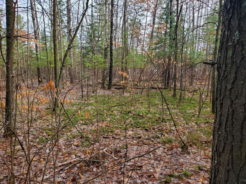 TBD Lot 4 County 30 Rd, Crosby, MN 56441