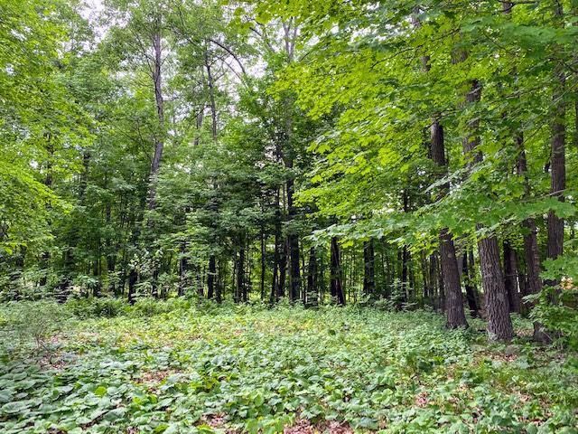 1509 Woodland Cir, Mora, MN 55051