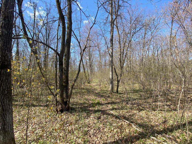 xx Lynx Rd, Milaca, MN 56353