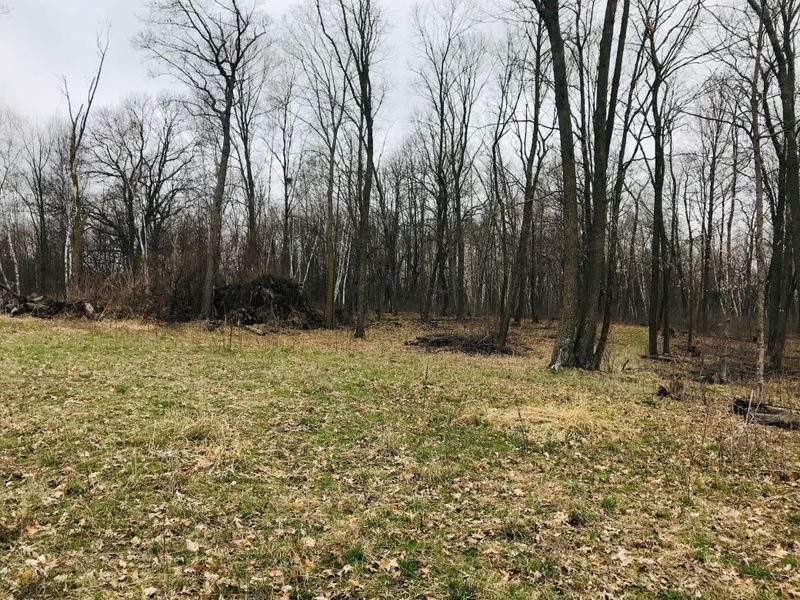 1299 320 Ave, Frederic, WI 54837