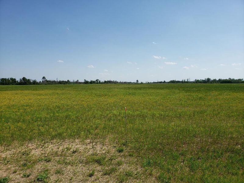 TBD 159th, Menahga, MN 56464