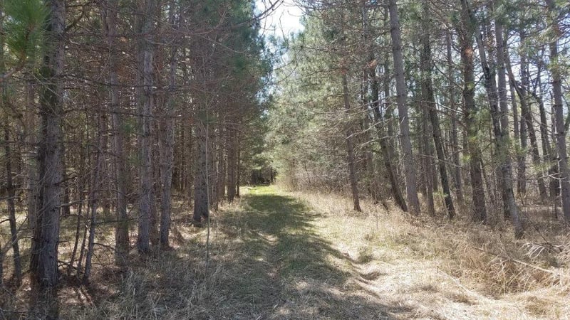 xxxxx Highway 70, Rock Creek, MN 55063