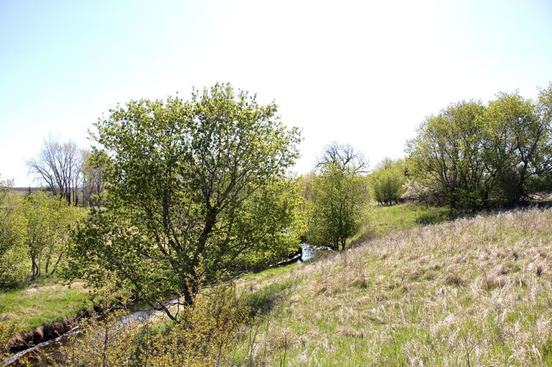 XXX 170th Ave, Slayton, MN 56172