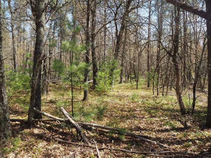 Lot 4 W Des Moines Lake Rd, Danbury, WI 54830