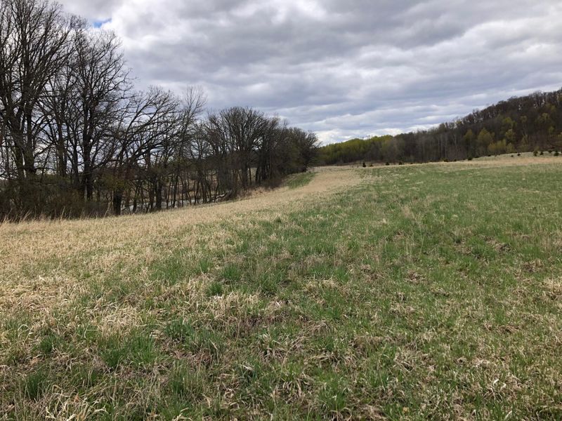 485th 485th Ave, Vining, MN 56588