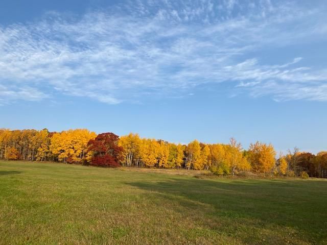 xxxx 58th Ave, Pine River, MN 56474
