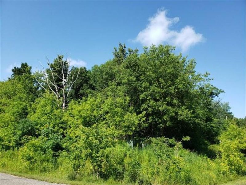 Lot 20 Waters Edge Dr NW, Walker, MN 56484