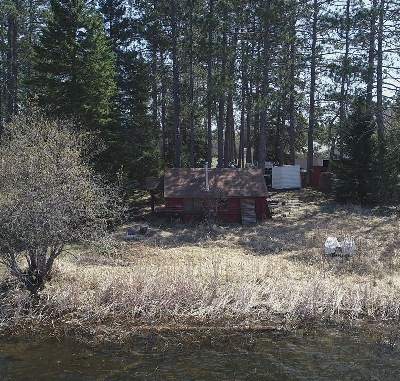 49668 Center Point Rd, Bigfork, MN 56628