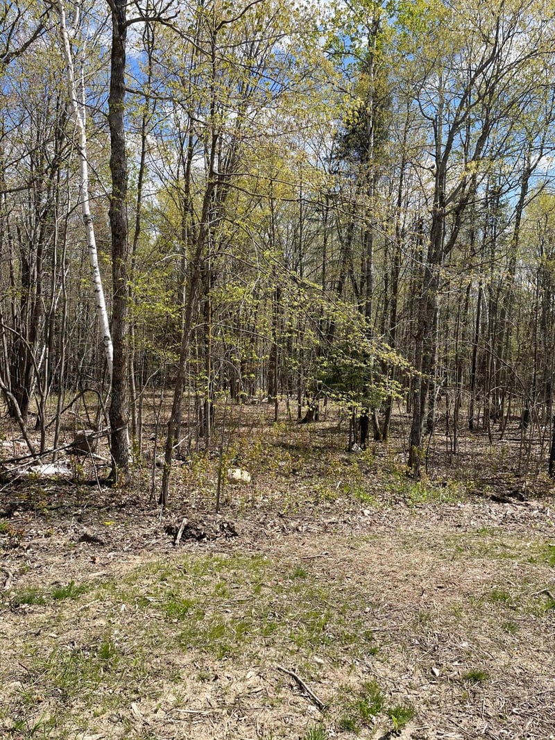 TBD 24th Ave NE, Boy River, MN 56672