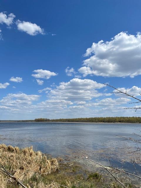 TBD 24th Ave NE, Boy River, MN 56672