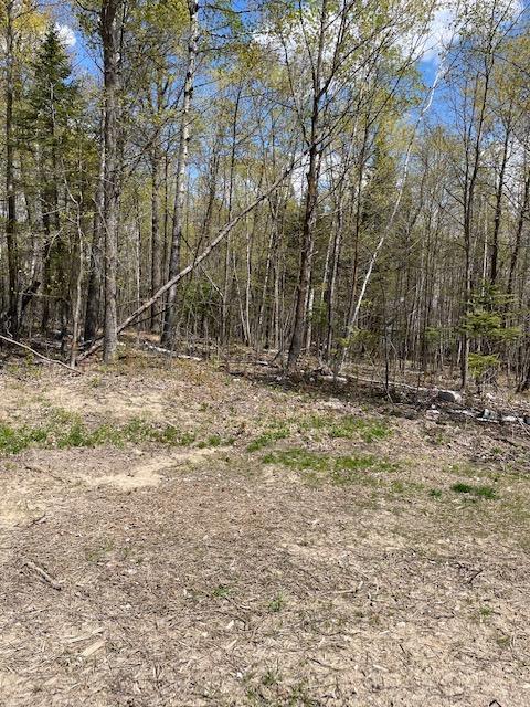 TBD 24th Ave NE, Boy River, MN 56672