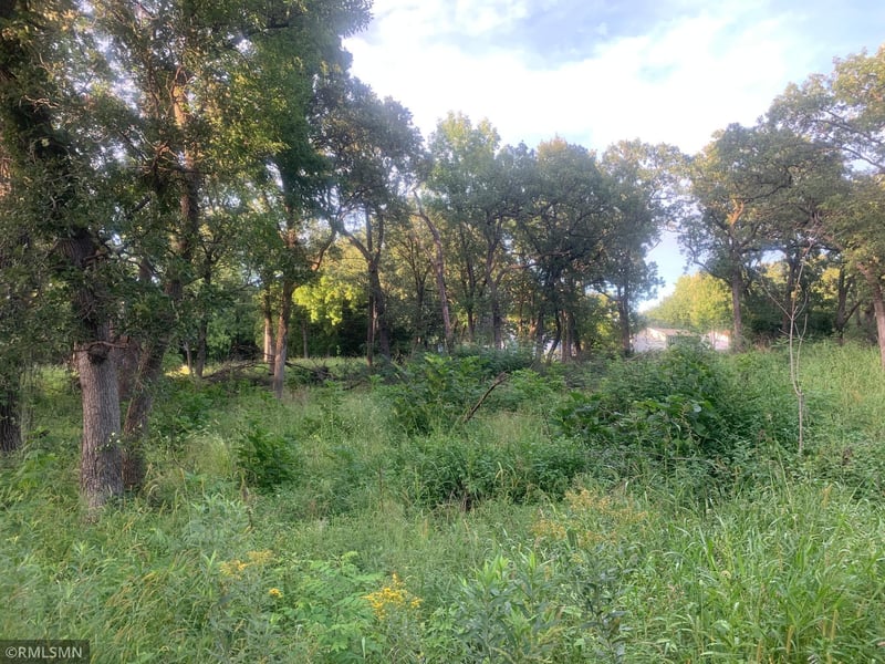 925 3rd Ave, Newport, MN 55055