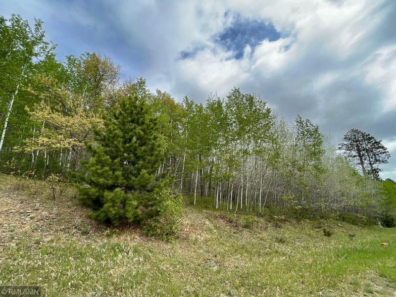 Lots 9 - 10 Fenwick Cir, Park Rapids, MN 56470