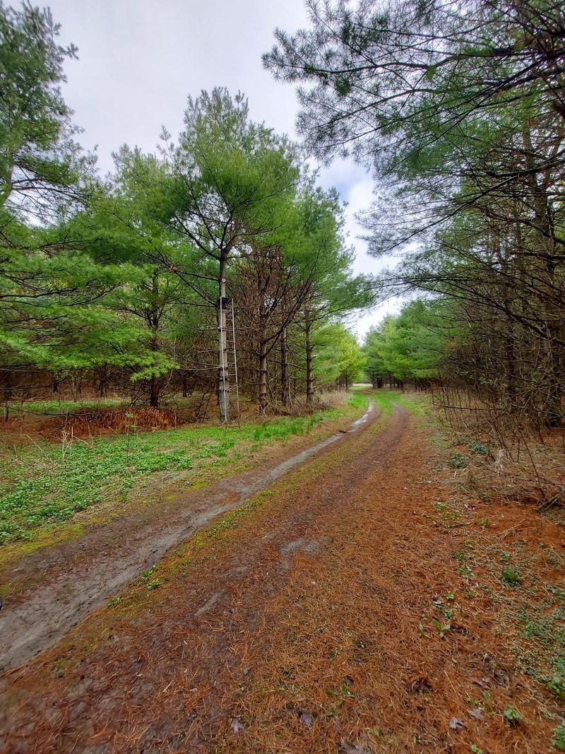 0 640th, Knapp, WI 54749