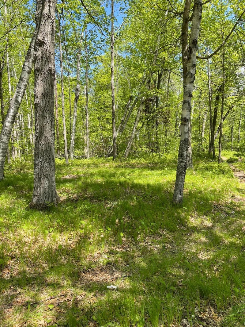 TBD Pond View Lane Dr, Crosslake, MN 56472
