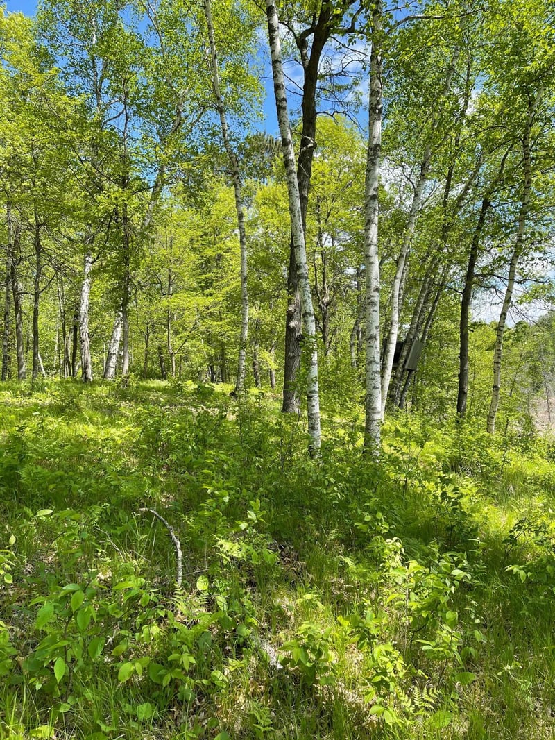 TBD Pond View Lane Dr, Crosslake, MN 56472