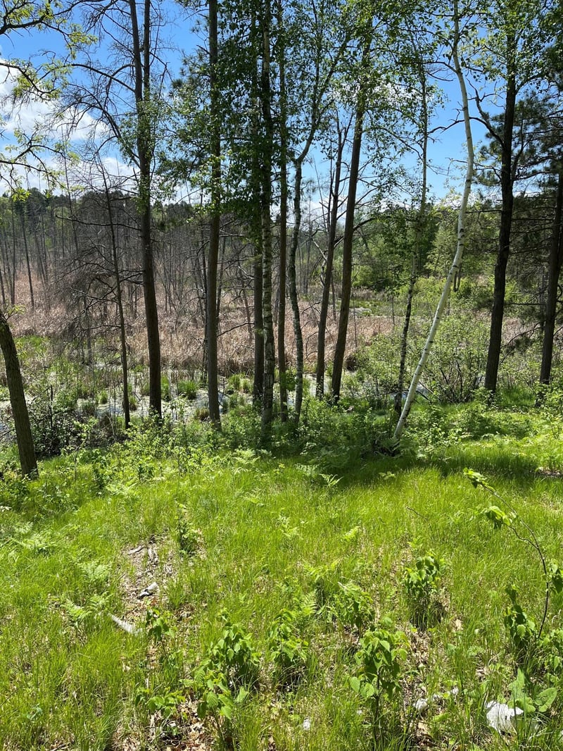 TBD Pond View Lane Dr, Crosslake, MN 56472