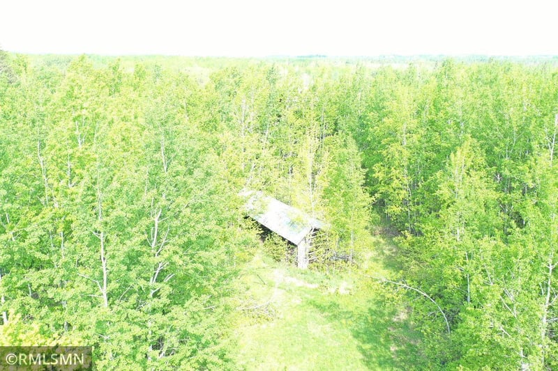 69037 Nelson Rd, Togo, MN 55723