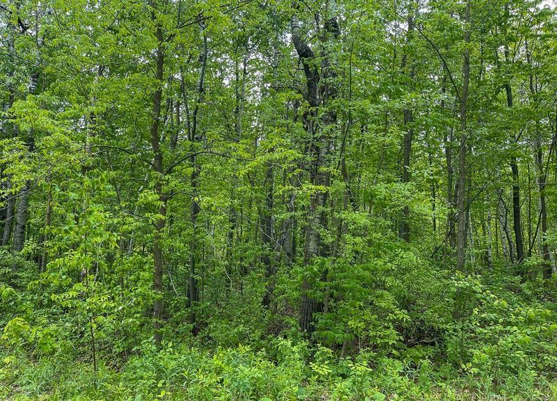 Parcel D Old Highway 18, Garrison, MN 56450
