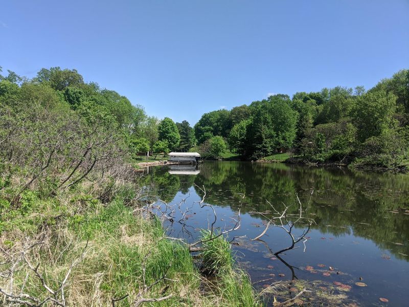 Lot 17 Marina Way, Garrison, MN 56450