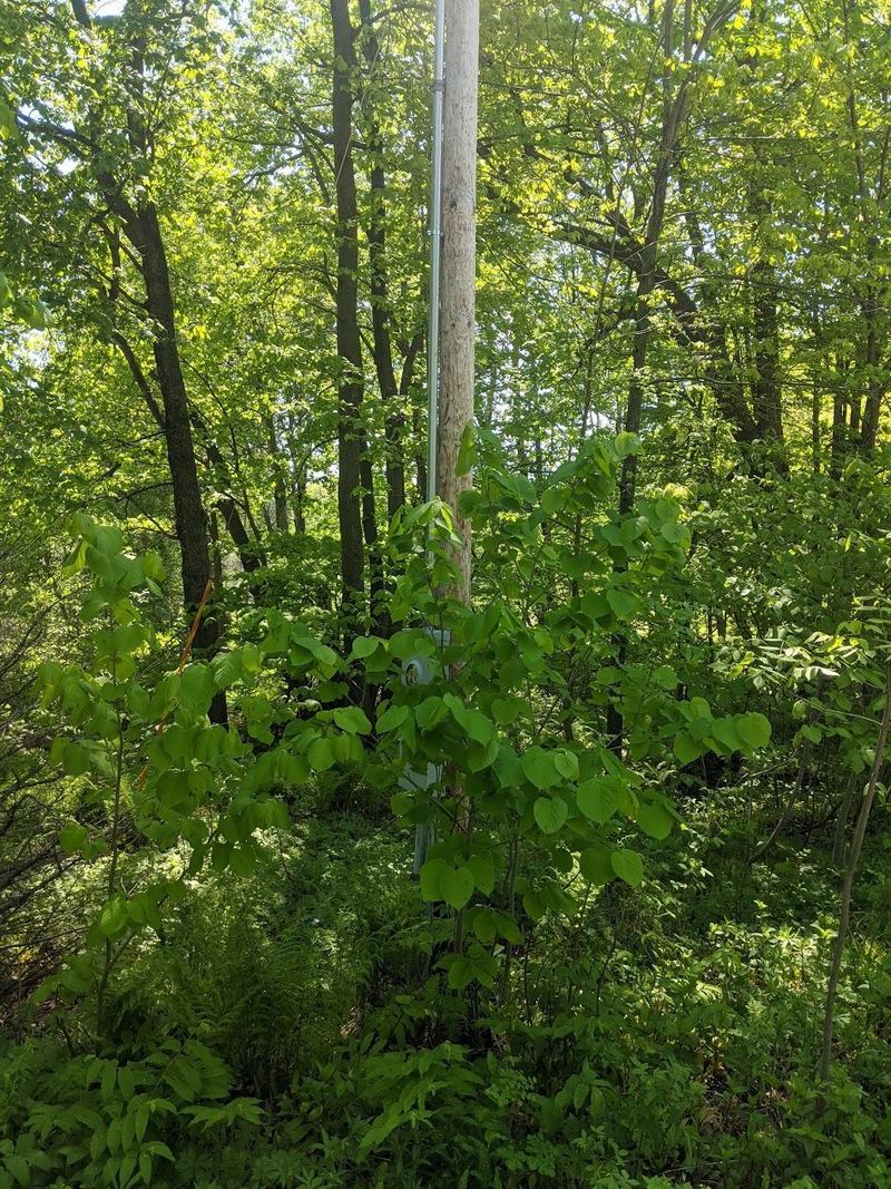 Lot 17 Marina Way, Garrison, MN 56450