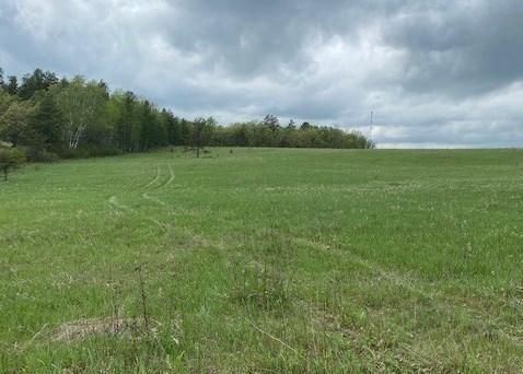 TBD Arrowhead Dr, Pine River, MN 56474