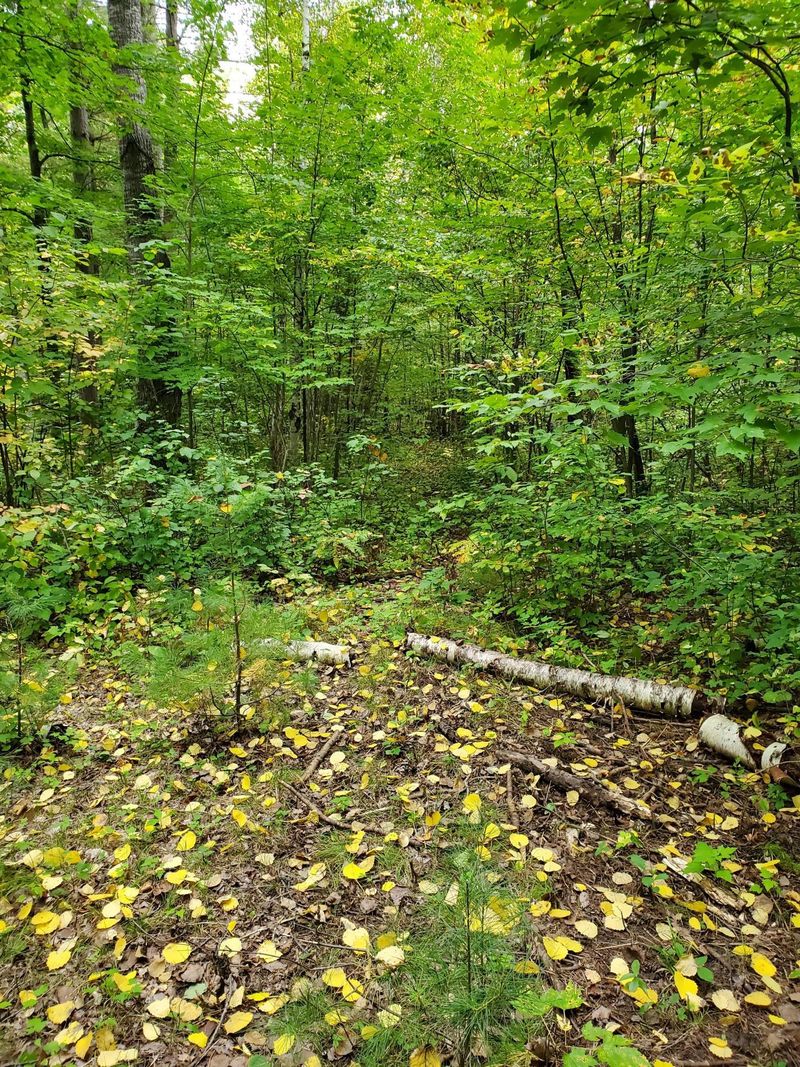 Lot 0 County Highway B, Hayward, WI 54843