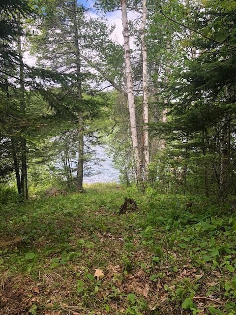 TBD Grave Lake Forest Rd, Deer River, MN 56636